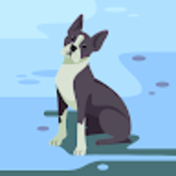 Meet your Posher, Ronald - Picture 1 of 1